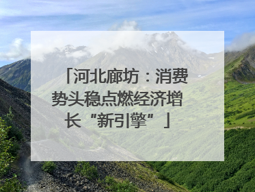 河北廊坊：消费势头稳点燃经济增长“新引擎”