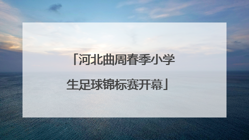 河北曲周春季小学生足球锦标赛开幕