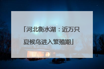 河北衡水湖：近万只夏候鸟进入繁殖期