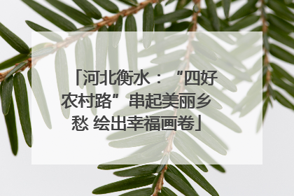 河北衡水：“四好农村路”串起美丽乡愁 绘出幸福画卷