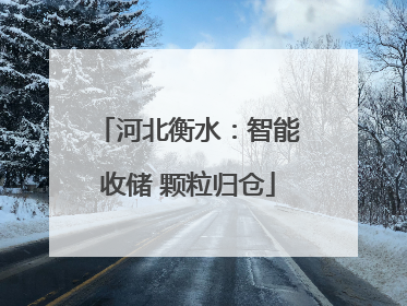 河北衡水：智能收储 颗粒归仓