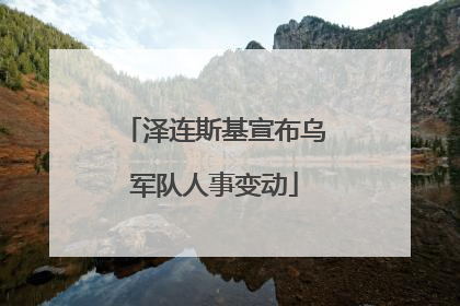 泽连斯基宣布乌军队人事变动