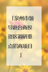 泉州市领导赴台商投资区调研重点招商项目