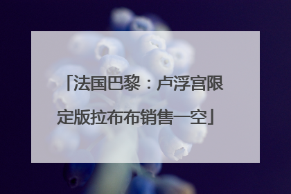 法国巴黎：卢浮宫限定版拉布布销售一空