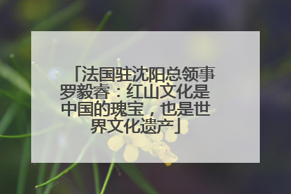 法国驻沈阳总领事罗毅睿：红山文化是中国的瑰宝，也是世界文化遗产