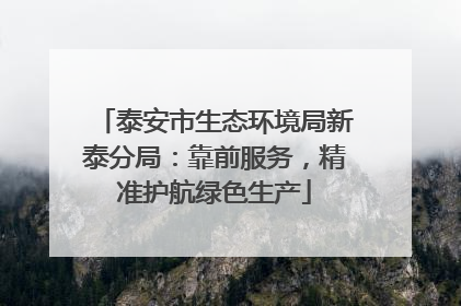 泰安市生态环境局新泰分局：靠前服务，精准护航绿色生产