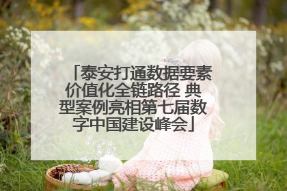 泰安打通数据要素价值化全链路径 典型案例亮相第七届数字中国建设峰会