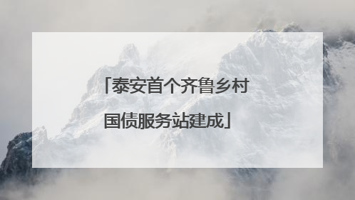 泰安首个齐鲁乡村国债服务站建成