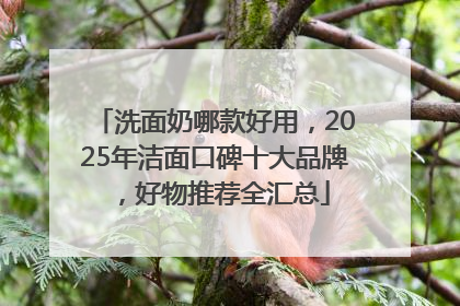 洗面奶哪款好用，2025年洁面口碑十大品牌，好物推荐全汇总