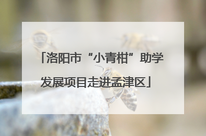 洛阳市“小青柑”助学发展项目走进孟津区