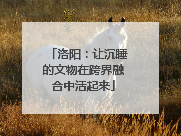 洛阳：让沉睡的文物在跨界融合中活起来