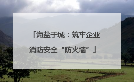 海盐于城：筑牢企业消防安全“防火墙”