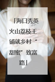 海口秀英火山荔枝王铺就乡村“甜蜜”致富路
