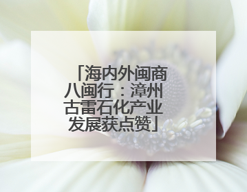 海内外闽商八闽行：漳州古雷石化产业发展获点赞