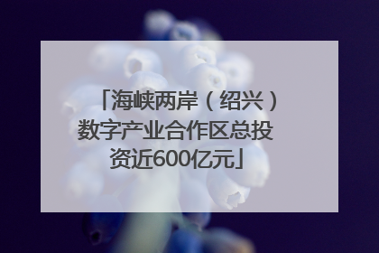 海峡两岸（绍兴）数字产业合作区总投资近600亿元