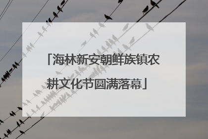 海林新安朝鲜族镇农耕文化节圆满落幕