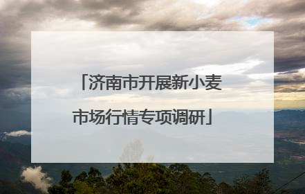 济南市开展新小麦市场行情专项调研