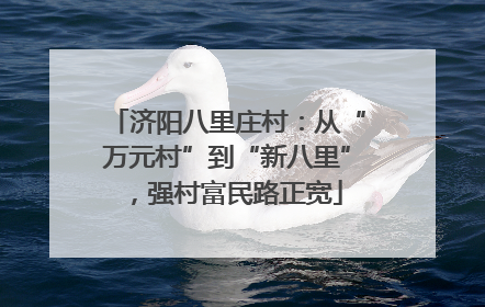 济阳八里庄村：从“万元村”到“新八里”，强村富民路正宽