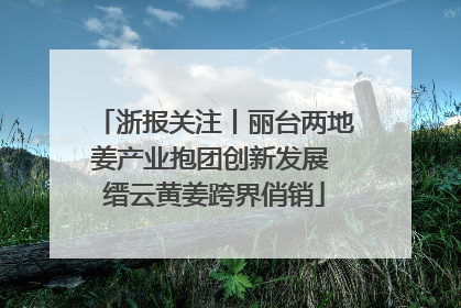 浙报关注丨丽台两地姜产业抱团创新发展 缙云黄姜跨界俏销