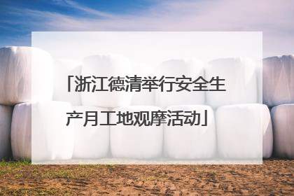浙江德清举行安全生产月工地观摩活动