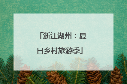 浙江湖州：夏日乡村旅游季
