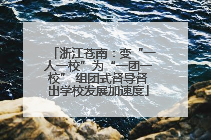 浙江苍南：变“一人一校”为“一团一校” 组团式督导督出学校发展加速度