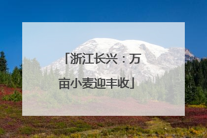 浙江长兴：万亩小麦迎丰收