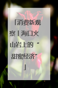 消费新观察丨海口火山岩上的“甜蜜经济”