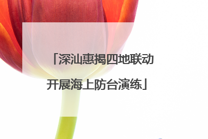 深汕惠揭四地联动开展海上防台演练