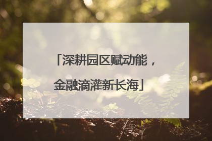 深耕园区赋动能，金融滴灌新长海