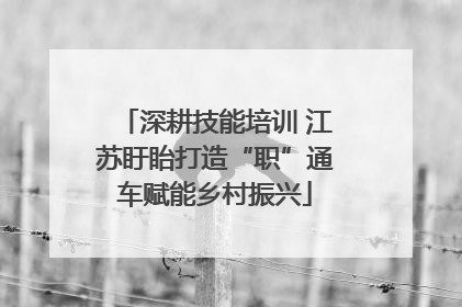 深耕技能培训 江苏盱眙打造“职”通车赋能乡村振兴