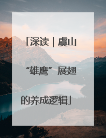 深读｜虞山“雄鹰”展翅的养成逻辑