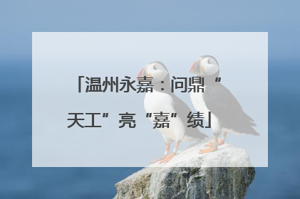 温州永嘉：问鼎“天工”亮“嘉”绩