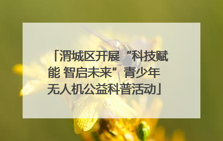 渭城区开展“科技赋能 智启未来”青少年无人机公益科普活动