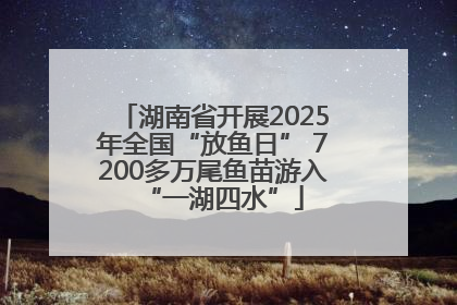 湖南省开展2025年全国“放鱼日” 7200多万尾鱼苗游入“一湖四水”