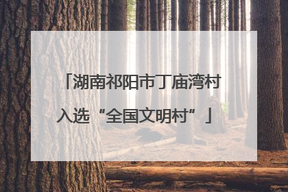 湖南祁阳市丁庙湾村入选“全国文明村”