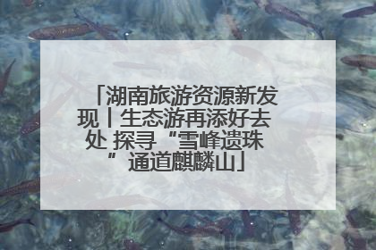 湖南旅游资源新发现丨生态游再添好去处 探寻“雪峰遗珠”通道麒麟山
