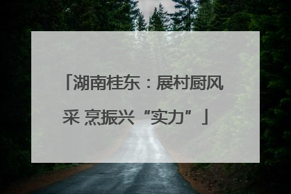 湖南桂东：展村厨风采 烹振兴“实力”