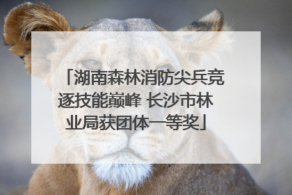湖南森林消防尖兵竞逐技能巅峰 长沙市林业局获团体一等奖