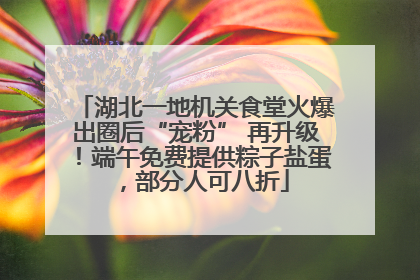 湖北一地机关食堂火爆出圈后“宠粉” 再升级！端午免费提供粽子盐蛋，部分人可八折