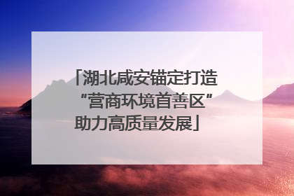 湖北咸安锚定打造“营商环境首善区”助力高质量发展