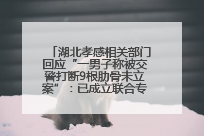 湖北孝感相关部门回应“一男子称被交警打断9根肋骨未立案”：已成立联合专班开展工作