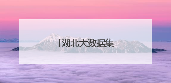 湖北大数据集团正式成立