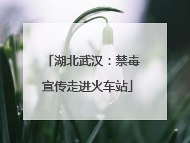 湖北武汉：禁毒宣传走进火车站