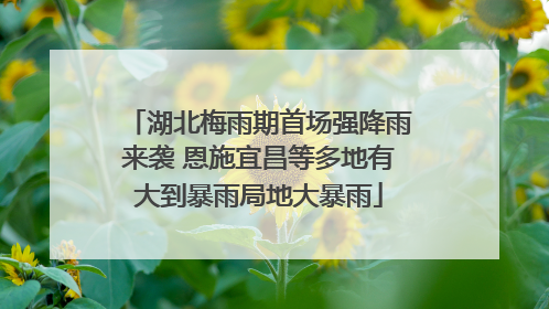湖北梅雨期首场强降雨来袭 恩施宜昌等多地有大到暴雨局地大暴雨