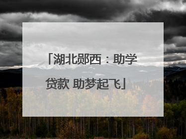 湖北郧西：助学贷款 助梦起飞