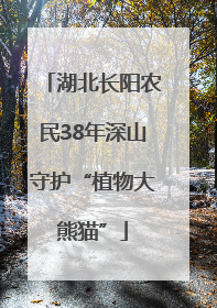 湖北长阳农民38年深山守护“植物大熊猫”