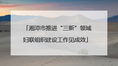 湘潭市推进“三新”领域妇联组织建设工作见成效