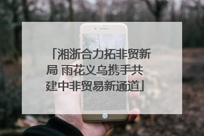 湘浙合力拓非贸新局 雨花义乌携手共建中非贸易新通道