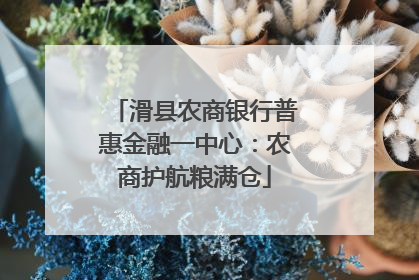 滑县农商银行普惠金融一中心：农商护航粮满仓